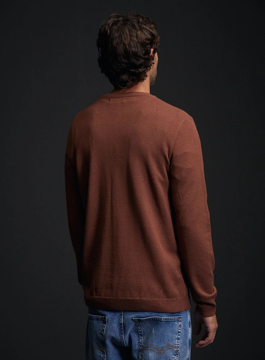 Suéter Masculina Regular Com Bordado Marrom Lcecci